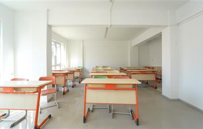 C21 BAL'DAN ÇARŞI MERKEZDE TİCARİ İMARLI KOMPLE BİNA