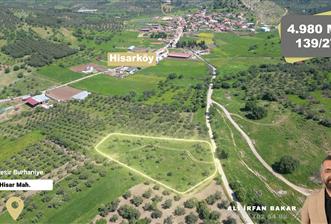 Burhaniye Hisar'da Satılık,Kadastral Yolu Bulunan,4980 m² Çamlık - 1 - 33986