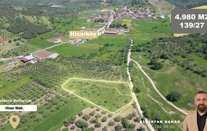 Burhaniye Hisar'da Satılık,Kadastral Yolu Bulunan,4980 m² Çamlık