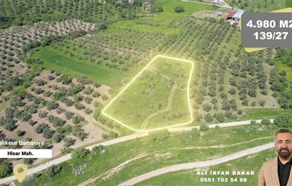Burhaniye Hisar'da Satılık,Kadastral Yolu Bulunan,4980 m² Çamlık