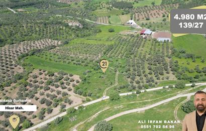 Burhaniye Hisar'da Satılık,Kadastral Yolu Bulunan,4980 m² Çamlık