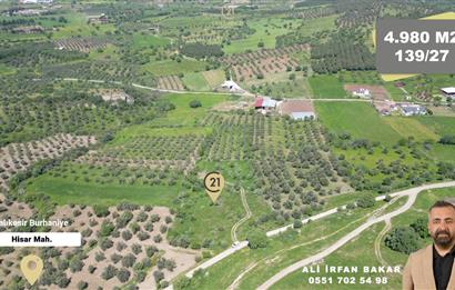 Burhaniye Hisar'da Satılık,Kadastral Yolu Bulunan,4980 m² Çamlık