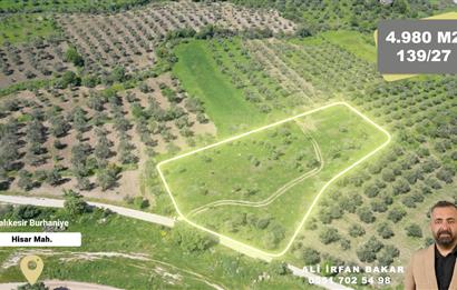 Burhaniye Hisar'da Satılık,Kadastral Yolu Bulunan,4980 m² Çamlık