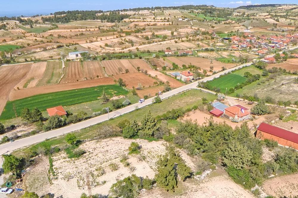 C21 LOFT'TAN PAMUKKALE AKÇAPINAR KÖYİÇİ 3.080 M² SATILIK TARLA