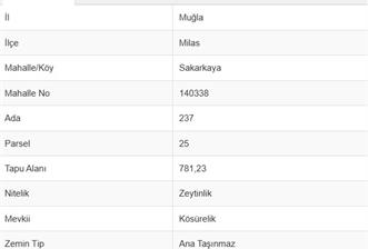 MUĞLA MİLAS SAKARKAYA KÖSÜRELİK MEVKİİNDE SATILIK ZEYTİNLİK ARSA - 1 - 33987
