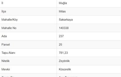 MUĞLA MİLAS SAKARKAYA KÖSÜRELİK MEVKİİNDE SATILIK ZEYTİNLİK ARSA
