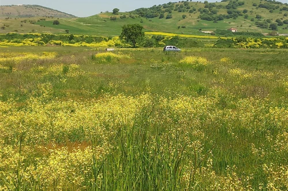 C21 LOCA GÖKÇEYAZI'DA HOBİ BAHÇESİNE UYGUN SÜPER TARLA