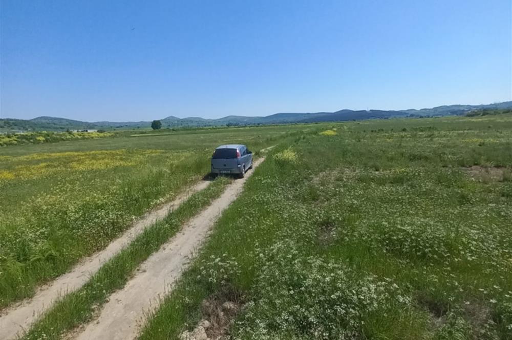 C21 LOCA GÖKÇEYAZI'DA HOBİ BAHÇESİNE UYGUN SÜPER TARLA