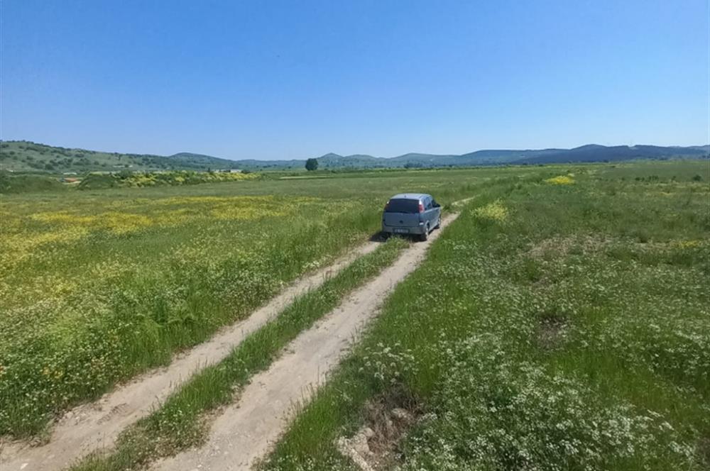 C21 LOCA GÖKÇEYAZI'DA HOBİ BAHÇESİNE UYGUN SÜPER TARLA