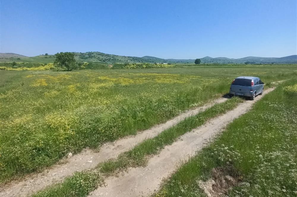 C21 LOCA GÖKÇEYAZI'DA HOBİ BAHÇESİNE UYGUN SÜPER TARLA