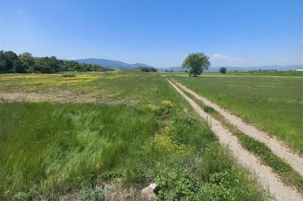C21 LOCA GÖKÇEYAZI'DA HOBİ BAHÇESİNE UYGUN SÜPER TARLA