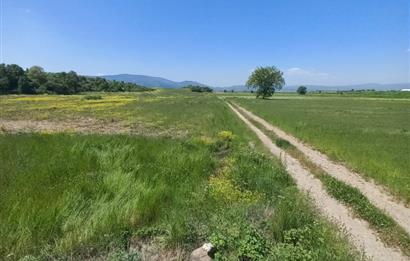 C21 LOCA GÖKÇEYAZI'DA HOBİ BAHÇESİNE UYGUN SÜPER TARLA