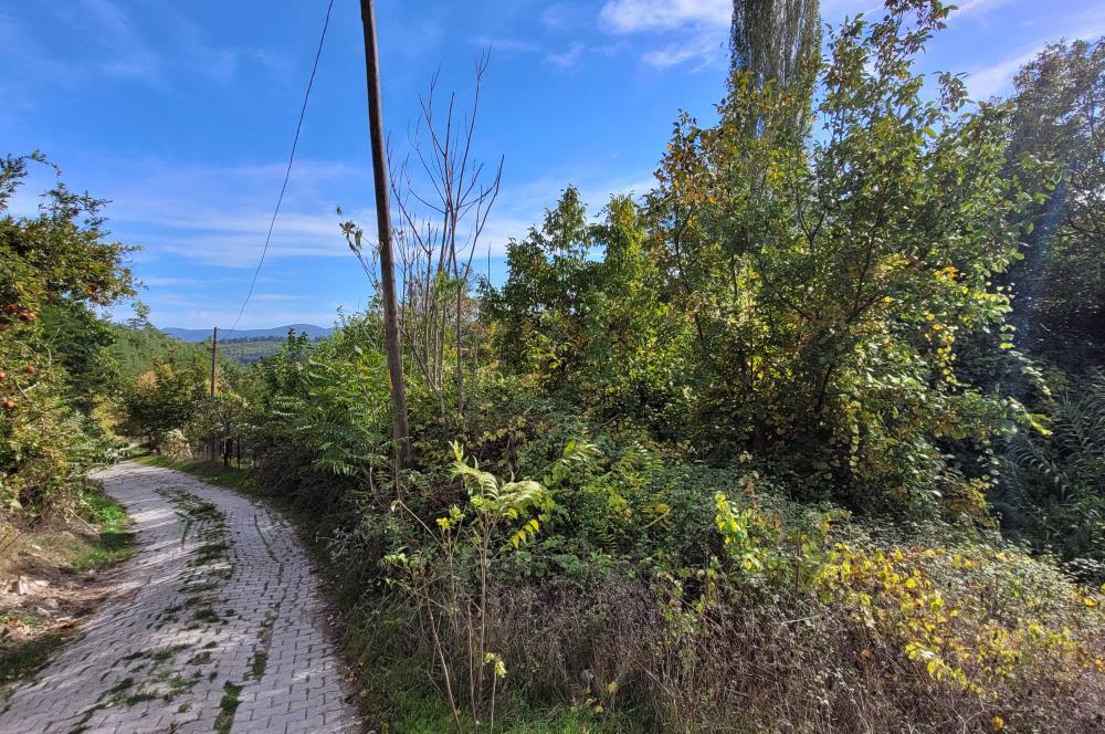 C21 BAL'DAN ALTIEYLÜL KİRAZPINAR KÖYÜNDE SATILIK KÖY İÇİ BAHÇE