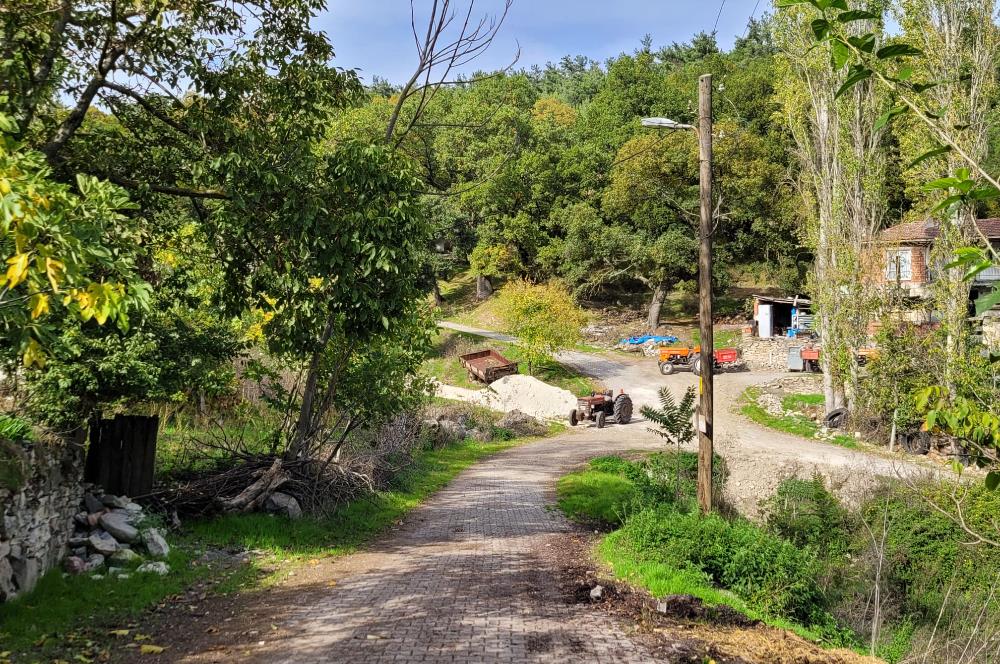 C21 BAL'DAN ALTIEYLÜL KİRAZPINAR MAH.DE SATILIK KÖY EVİ
