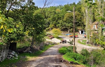 C21 BAL'DAN ALTIEYLÜL KİRAZPINAR MAH.DE SATILIK KÖY EVİ