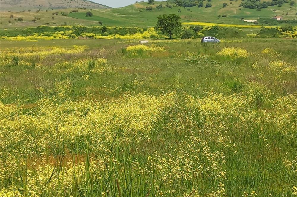 C21 LOCA GÖKÇEYAZI'DA HOBİ BAHÇESİNE UYGUN SÜPER TARLA
