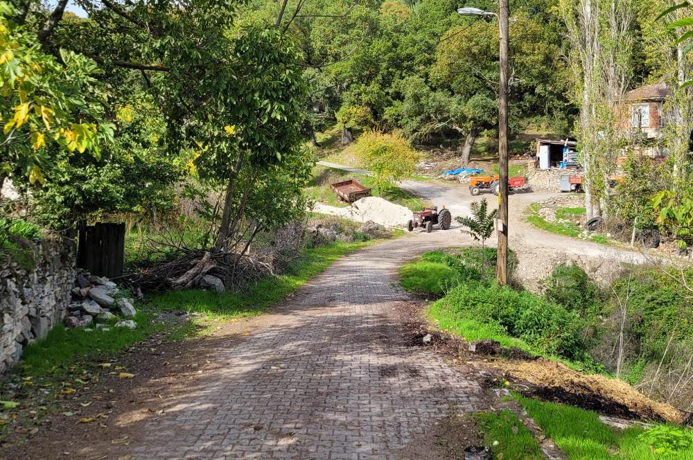 C21 BAL'DAN ALTIEYLÜL KİRAZPINAR KÖYÜNDE SATILIK KÖY İÇİ BAHÇE