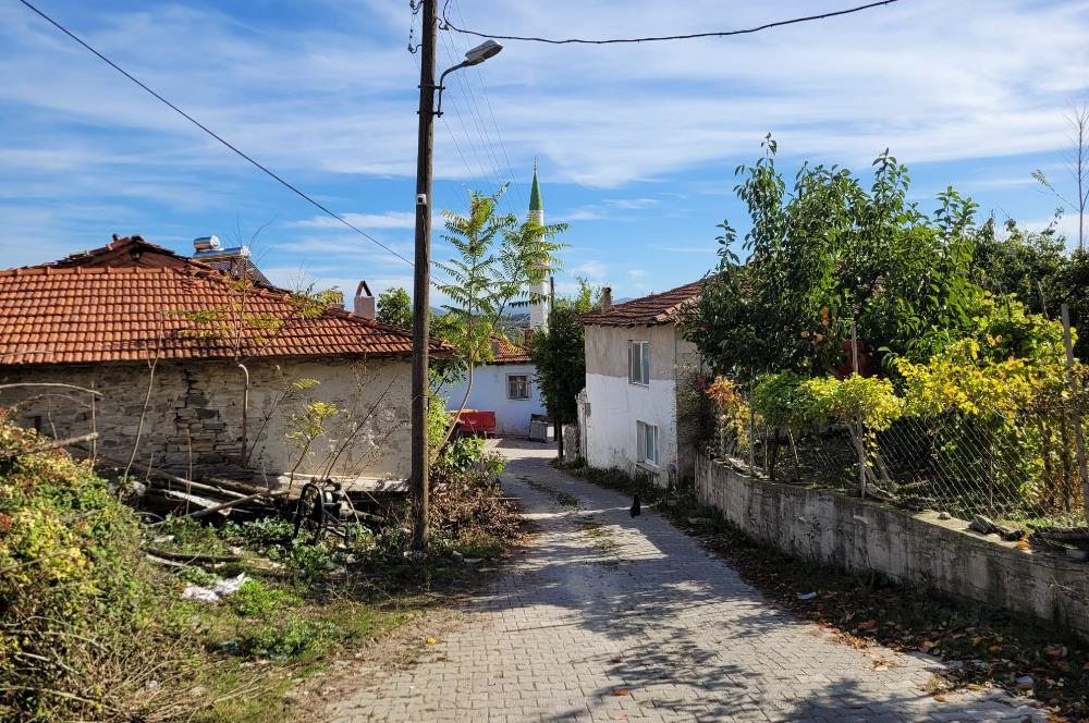 C21 BAL'DAN ALTIEYLÜL KİRAZPINAR MAH.DE SATILIK KÖY EVİ