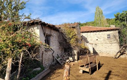 C21 BAL'DAN KİRAZPINAR KÖYÜNDE SATILIK İÇİNDE YAPI BULUNAN ARSA