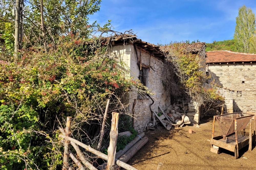 C21 BAL'DAN KİRAZPINAR KÖYÜNDE SATILIK İÇİNDE YAPI BULUNAN ARSA