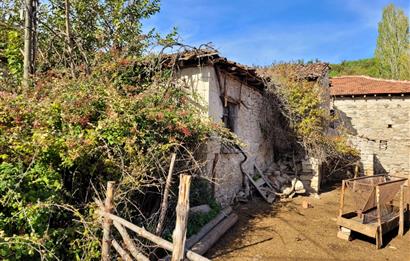 C21 BAL'DAN KİRAZPINAR KÖYÜNDE SATILIK İÇİNDE YAPI BULUNAN ARSA