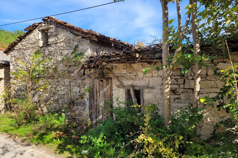 C21 BAL'DAN KİRAZPINAR KÖYÜNDE SATILIK İÇİNDE YAPI BULUNAN ARSA