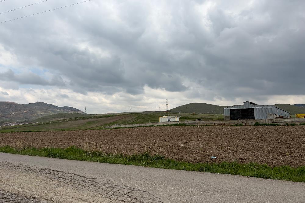 Oğulbeyde yatırımlık tarla