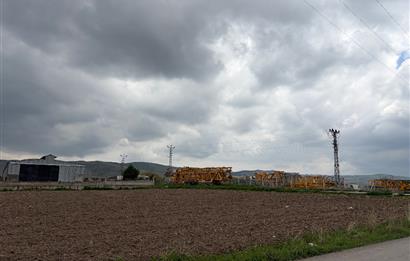 Oğulbeyde yatırımlık tarla