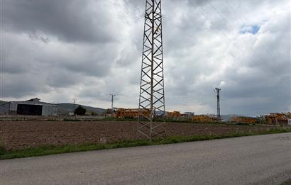 Oğulbeyde yatırımlık tarla