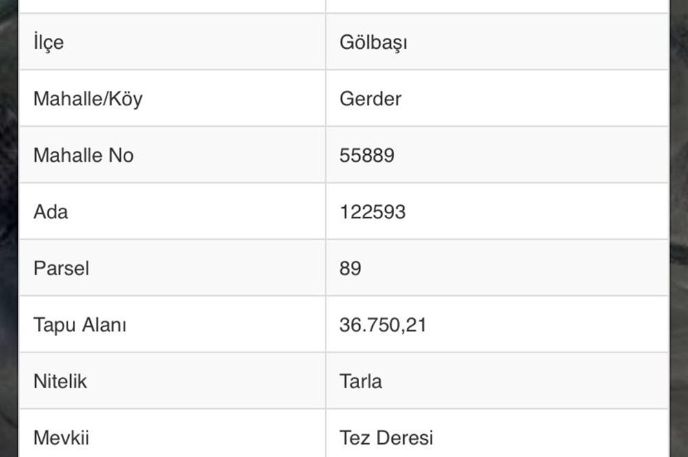 GERDER'DE FIRSAT  YATIRIMA UYGUN SATILIK TARLA