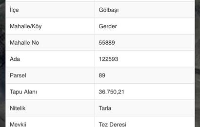 GERDER'DE FIRSAT  YATIRIMA UYGUN SATILIK TARLA
