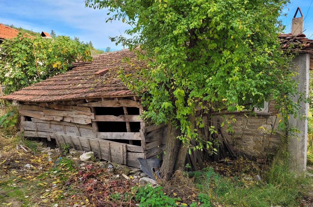 C21 BAL'DAN ALTIEYLÜL KİRAZPINAR MAH.DE SATILIK KÖY EVİ