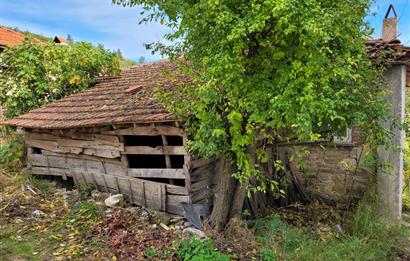 C21 BAL'DAN ALTIEYLÜL KİRAZPINAR MAH.DE SATILIK KÖY EVİ