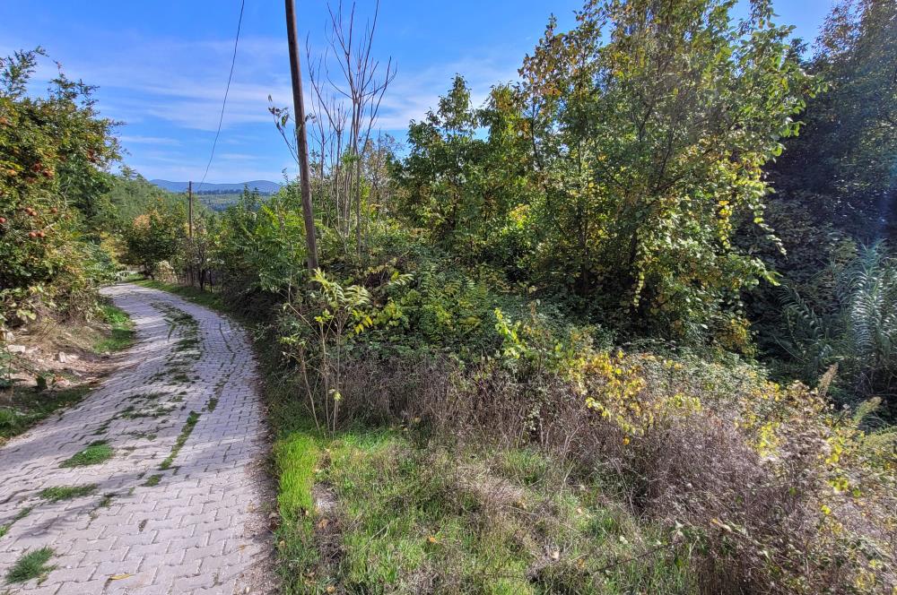C21 BAL'DAN ALTIEYLÜL KİRAZPINAR MAH.DE SATILIK KÖY EVİ