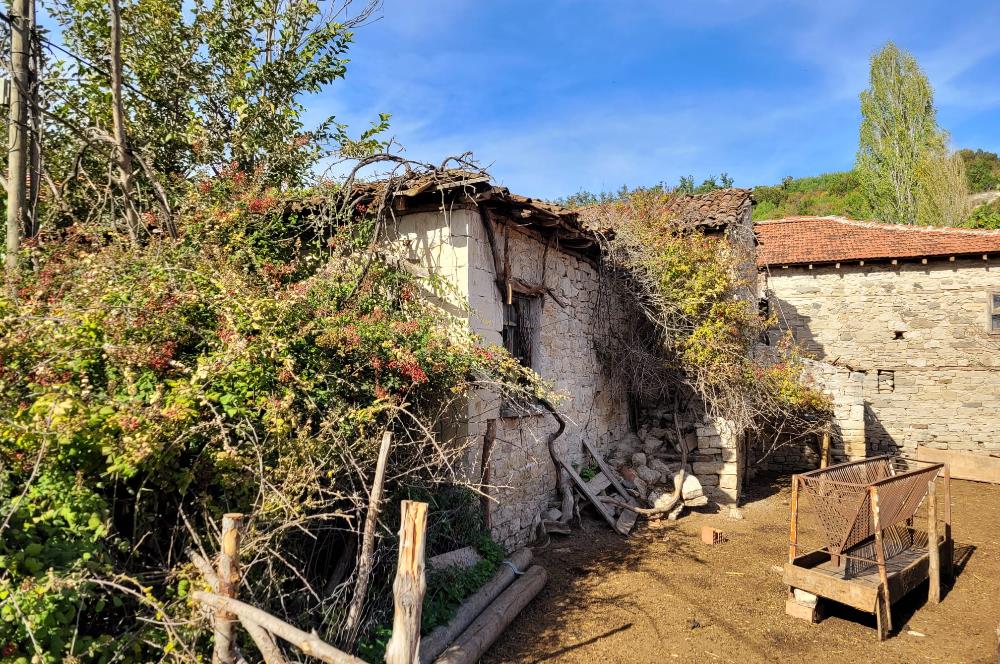 C21 BAL'DAN KİRAZPINAR KÖYÜNDE SATILIK İÇİNDE YAPI BULUNAN ARSA
