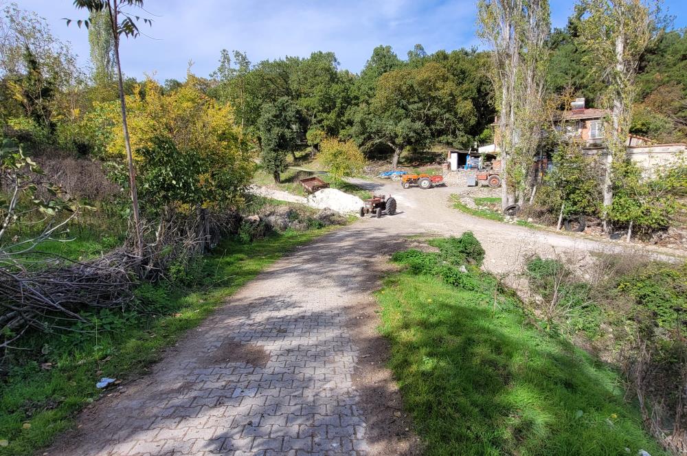 C21 BAL'DAN ALTIEYLÜL KİRAZPINAR KÖYÜNDE SATILIK KÖY İÇİ BAHÇE