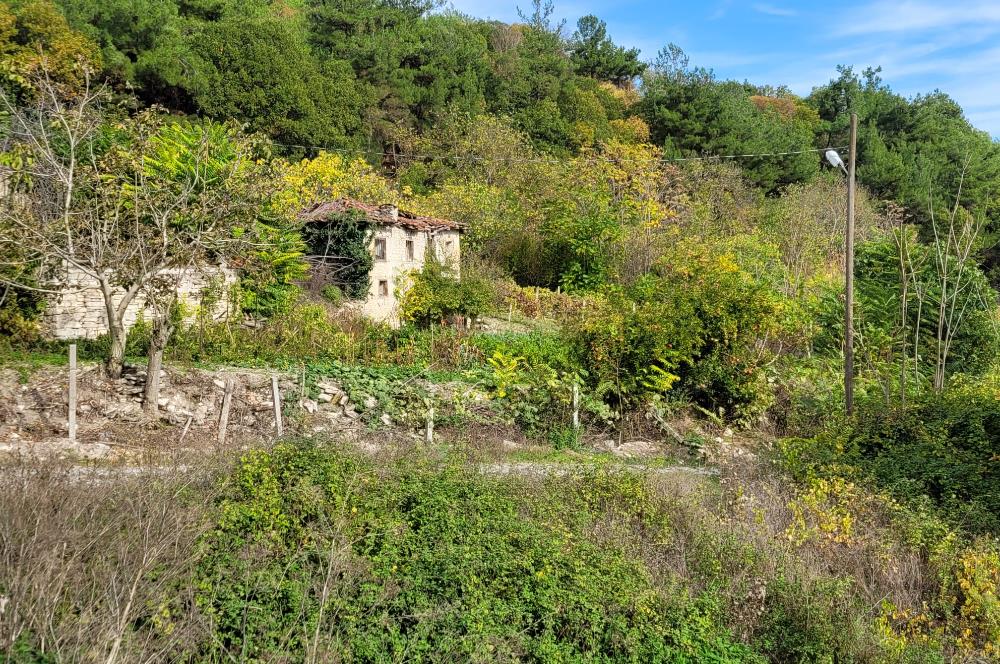 C21 BAL'DAN ALTIEYLÜL KİRAZPINAR KÖYÜNDE SATILIK KÖY İÇİ BAHÇE