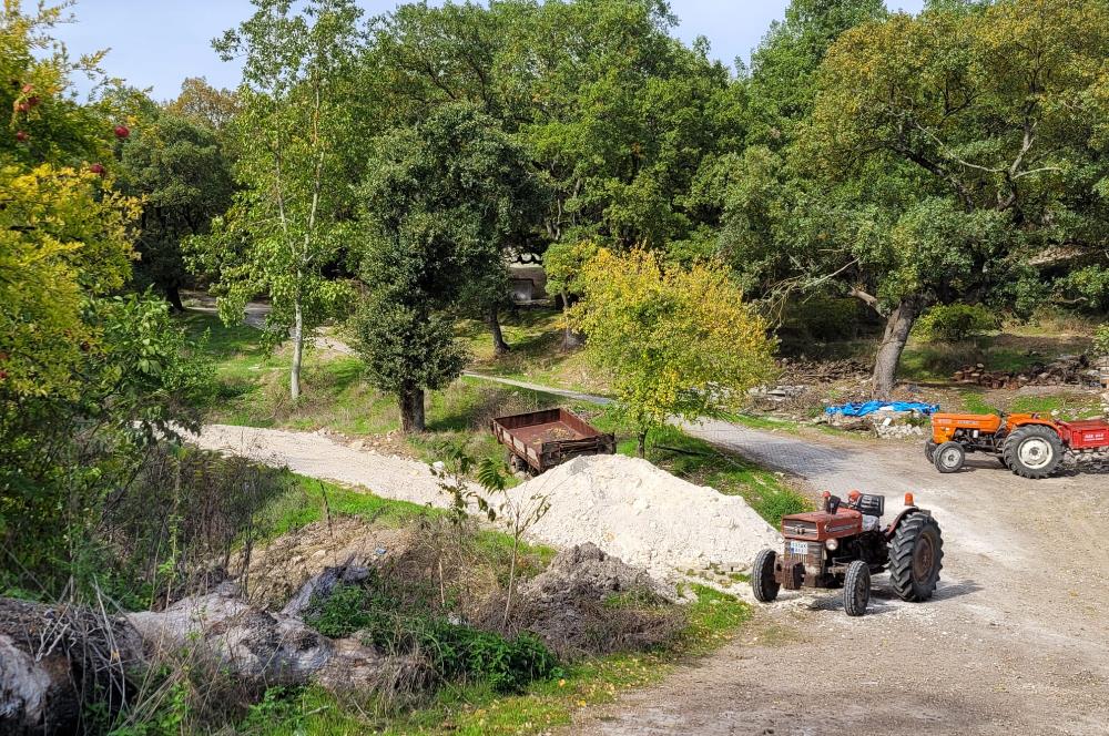 C21 BAL'DAN ALTIEYLÜL KİRAZPINAR KÖYÜNDE SATILIK KÖY İÇİ BAHÇE