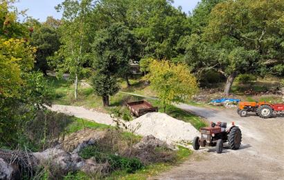 C21 BAL'DAN ALTIEYLÜL KİRAZPINAR KÖYÜNDE SATILIK KÖY İÇİ BAHÇE