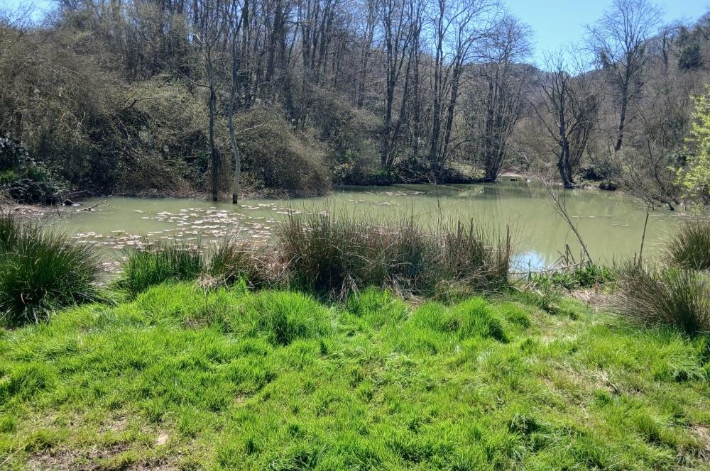 Doğayla İç İçe, Basın Yayın Sitesi'nde C Tipi Kiralık Villa