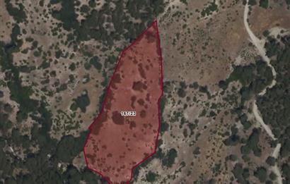  ANTALYA KAŞ GÜRSU’DA ULAŞIMI KOLAY, 14.714 M² TARLA