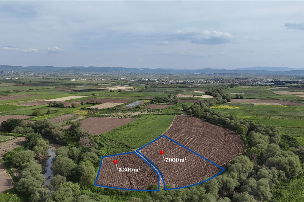 C21 WİNNER OVAKÖY 7.000m² SATILIK TARLA