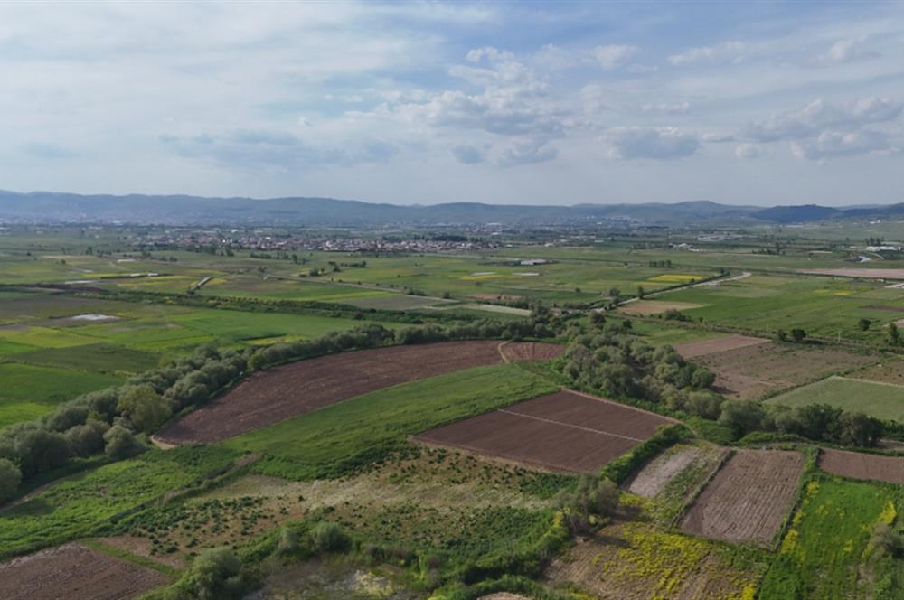 C21 WİNNER OVAKÖY 7.000m² SATILIK TARLA