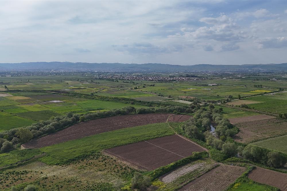 C21 WİNNER OVAKÖY 7.000m² SATILIK TARLA