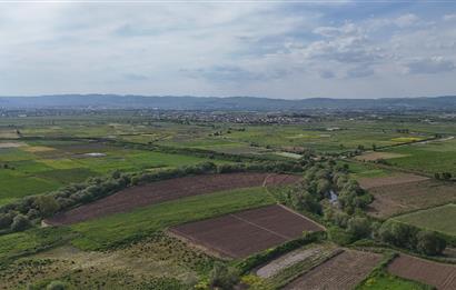 C21 WİNNER OVAKÖY 7.000m² SATILIK TARLA