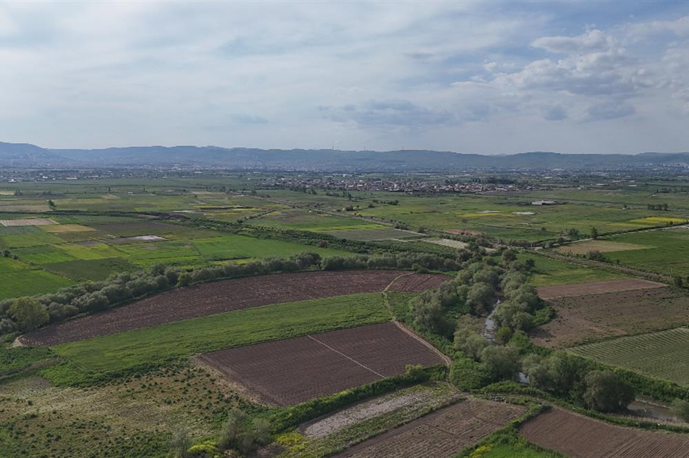 C21 WİNNER OVAKÖY 3.300m² SATILIK TARLA