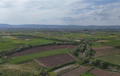 C21 WİNNER OVAKÖY 3.300m² SATILIK TARLA