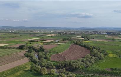 C21 WİNNER OVAKÖY 3.300m² SATILIK TARLA