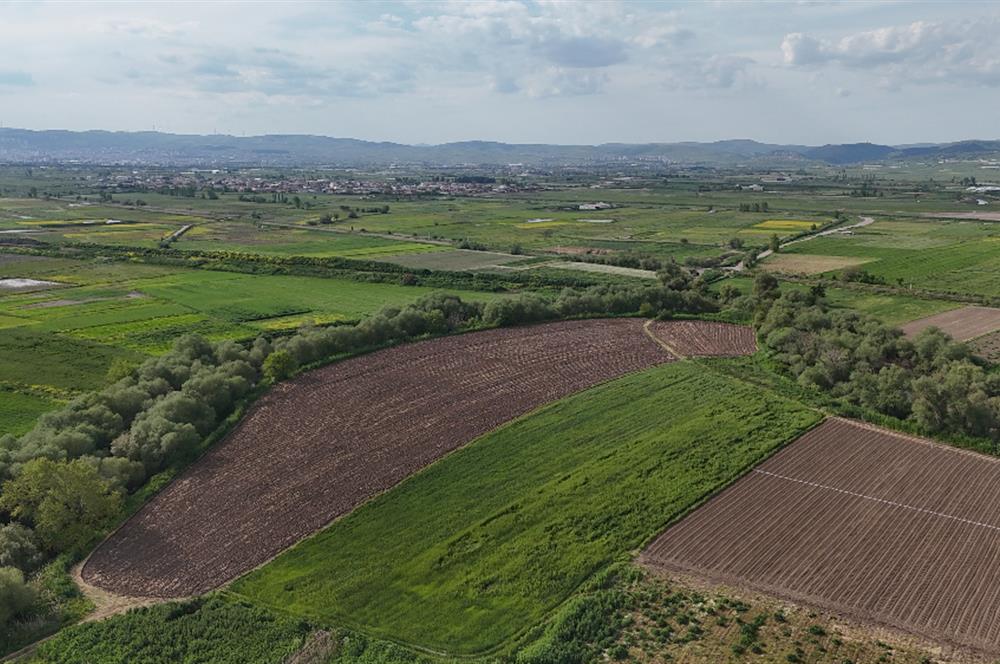 C21 WİNNER OVAKÖY 7.000m² SATILIK TARLA