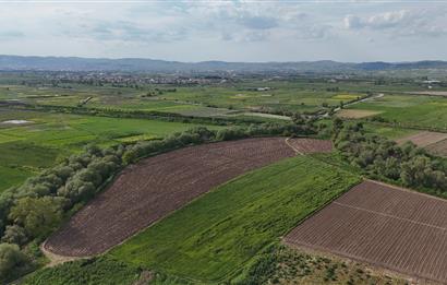 C21 WİNNER OVAKÖY 7.000m² SATILIK TARLA